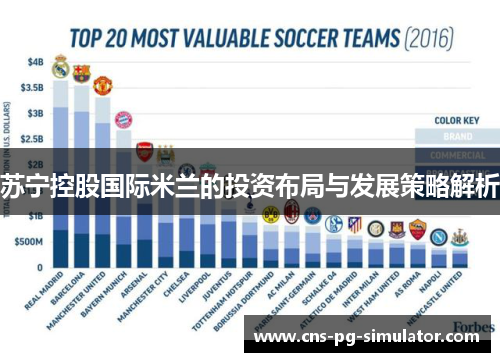 苏宁控股国际米兰的投资布局与发展策略解析